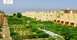 Island Beach Island Beach