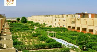 ايلاند بيتش